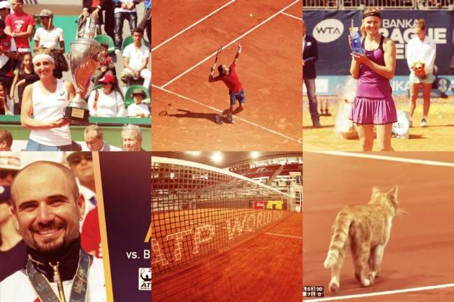 Дайджест дня: первые титулы сезона для Бачински и Шафаржовой, жеребьевка в Мадриде, Дельбонис обидел кошку (+фото и видео)