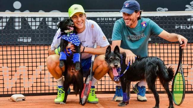 Собаки вместо болбоев помогают теннисистам на кортах турнира в Бразилии (ВИДЕО)