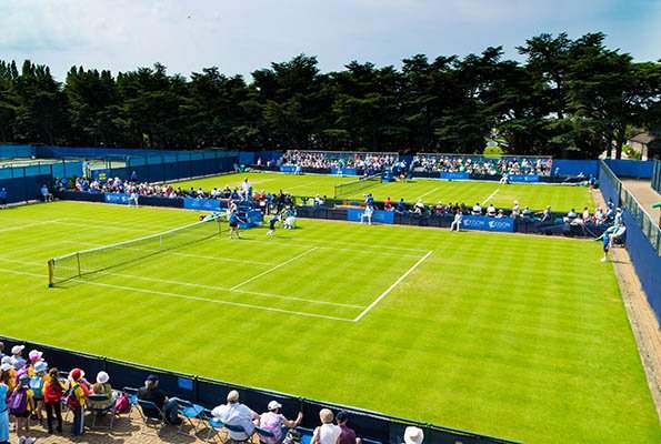 Турниры недели WTA. Барти и Осака сыграют в Ноттингеме, Вандевей и Контавейт едут в Хертогенбос