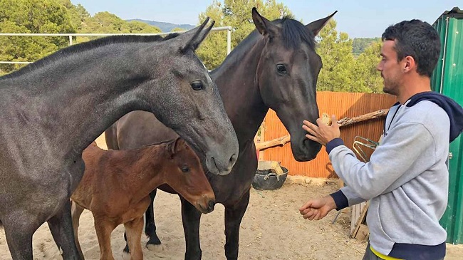 Третья ракетка Испании: "Дома у меня есть конюшня, я провожу время с лошадьми, чтобы обрести покой"