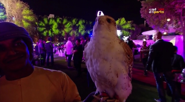 Дубай. Стаховский в борьбе вновь проигрывает Вавринке (+фото и видео)