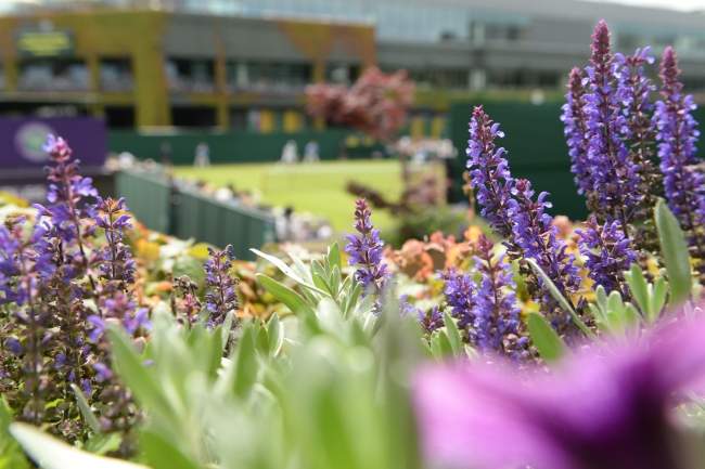 Ольга Савчук: "Уимблдонские традиции и комфорт для игроков"