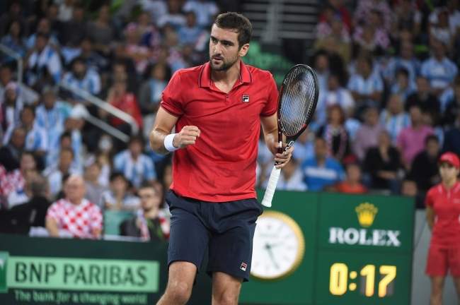 Кубок Дэвиса. Историческая победа для дель Потро и компании (ФОТО)