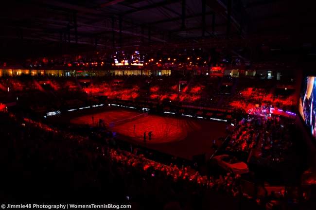 Кубок Федерации. Сборные Украины и Германии сыграют в Штутгарте