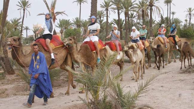 Стаховский, Димитров, Чорич и Шварцман покатались на верблюдах (ФОТО)